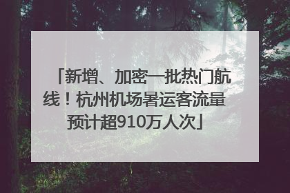 新增、加密一批热门航线！杭州机场暑运客流量预计超910万人次