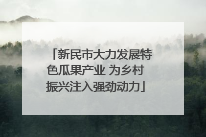 新民市大力发展特色瓜果产业 为乡村振兴注入强劲动力