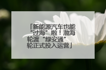 新能源汽车也能“过海”啦！渤海轮渡“绿安通” 轮正式投入运营