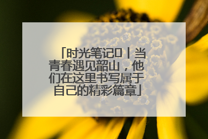 时光笔记⑪丨当青春遇见韶山，他们在这里书写属于自己的精彩篇章