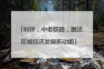时评：中老铁路，激活区域经济发展新动能