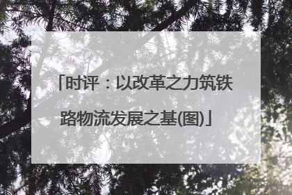 时评：以改革之力筑铁路物流发展之基(图)