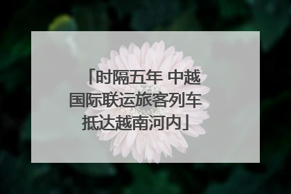 时隔五年 中越国际联运旅客列车抵达越南河内