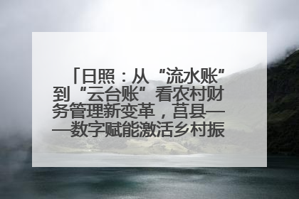 日照：从“流水账”到“云台账”看农村财务管理新变革，莒县——数字赋能激活乡村振兴“一池春水”