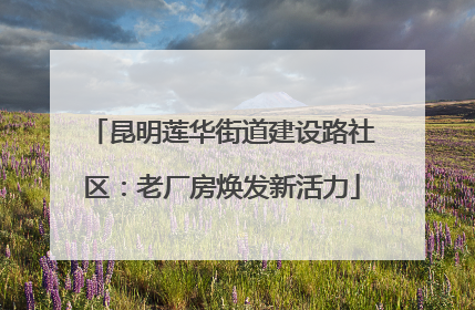 昆明莲华街道建设路社区：老厂房焕发新活力
