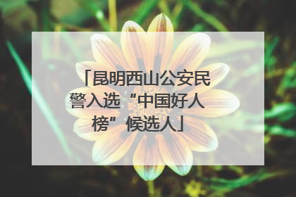 昆明西山公安民警入选“中国好人榜”候选人