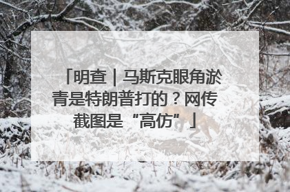 明查｜马斯克眼角淤青是特朗普打的？网传截图是“高仿”