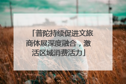 普陀持续促进文旅商体展深度融合，激活区域消费活力