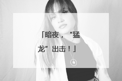 暗夜，“猛龙”出击！