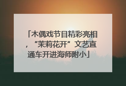 木偶戏节目精彩亮相，“茉莉花开”文艺直通车开进海师附小