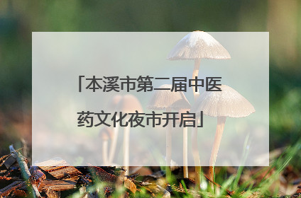 本溪市第二届中医药文化夜市开启