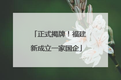 正式揭牌！福建新成立一家国企