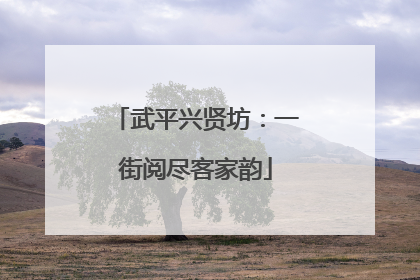 武平兴贤坊：一街阅尽客家韵
