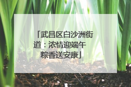 武昌区白沙洲街道：浓情迎端午 粽香送安康