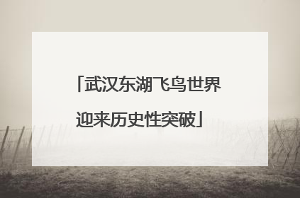 武汉东湖飞鸟世界迎来历史性突破