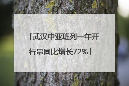 武汉中亚班列一年开行量同比增长72%