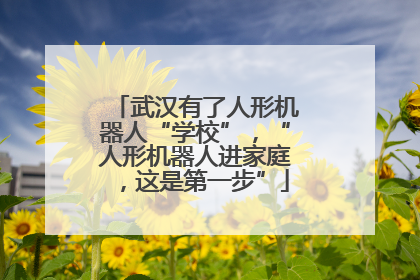 武汉有了人形机器人“学校”，“人形机器人进家庭，这是第一步”