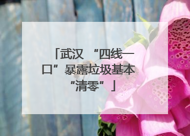 武汉 “四线一口”暴露垃圾基本 “清零”
