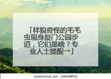 样貌奇怪的毛毛虫现身厦门公园步道，它们是啥？专业人士提醒→