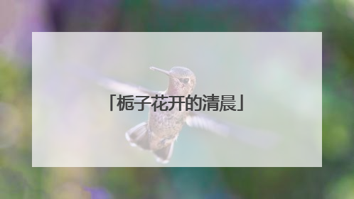 栀子花开的清晨