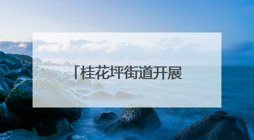 桂花坪街道开展六五环保活动，共筑绿色家园