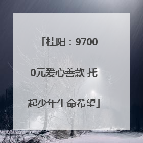 桂阳：97000元爱心善款 托起少年生命希望