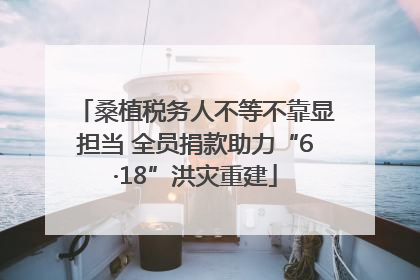 桑植税务人不等不靠显担当 全员捐款助力“6·18”洪灾重建