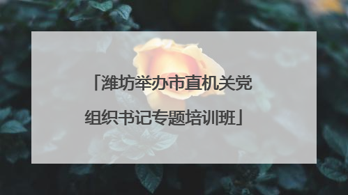 潍坊举办市直机关党组织书记专题培训班