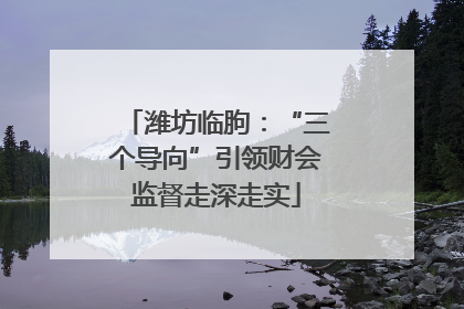潍坊临朐：“三个导向”引领财会监督走深走实