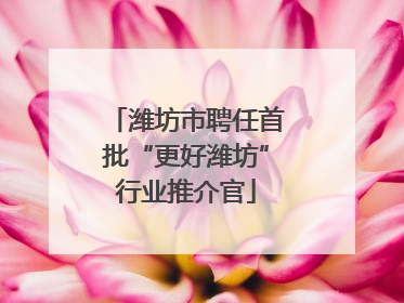 潍坊市聘任首批“更好潍坊”行业推介官