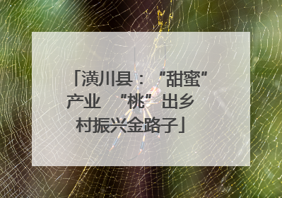 潢川县：“甜蜜”产业  “桃”出乡村振兴金路子