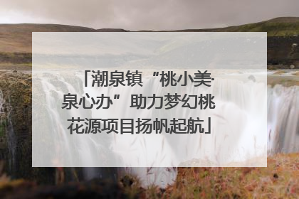 潮泉镇“桃小美·泉心办”助力梦幻桃花源项目扬帆起航