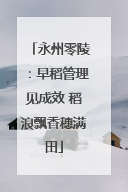 永州零陵：早稻管理见成效 稻浪飘香穗满田