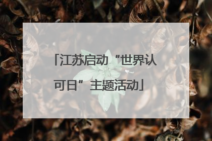 江苏启动“世界认可日”主题活动