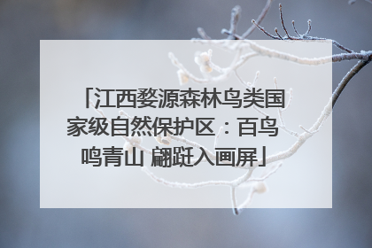 江西婺源森林鸟类国家级自然保护区：百鸟鸣青山 翩跹入画屏