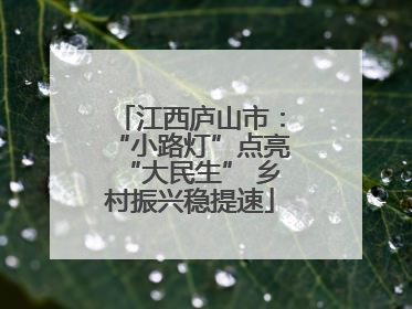 江西庐山市：“小路灯”点亮“大民生” 乡村振兴稳提速