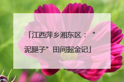 江西萍乡湘东区：“泥腿子”田间掘金记