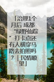 治理1个月后 成都“绿野仙踪”打卡点还有人横穿马路去拍照吗？｜民情瞭望