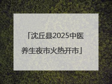 沈丘县2025中医养生夜市火热开市