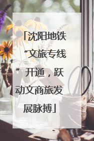 沈阳地铁“文旅专线”开通，跃动文商旅发展脉搏