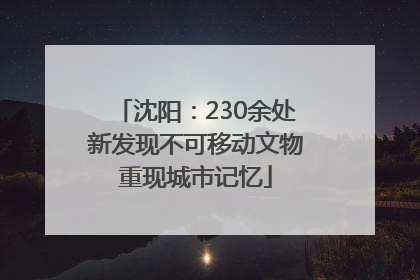 沈阳：230余处新发现不可移动文物重现城市记忆