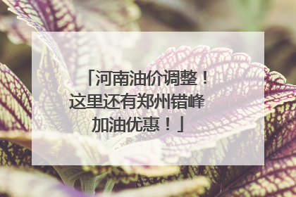 河南油价调整！这里还有郑州错峰加油优惠！
