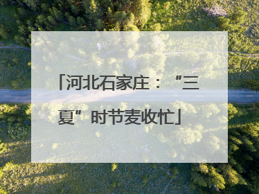 河北石家庄：“三夏”时节麦收忙