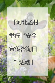 河北孟村举行“安全宣传咨询日”活动