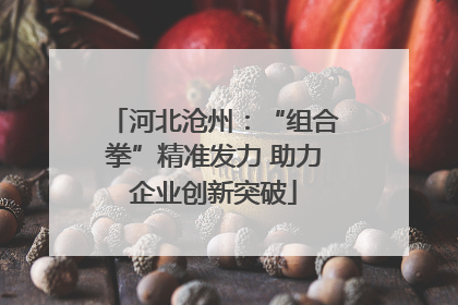 河北沧州：“组合拳”精准发力 助力企业创新突破