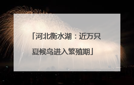 河北衡水湖：近万只夏候鸟进入繁殖期