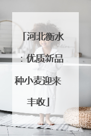 河北衡水：优质新品种小麦迎来丰收