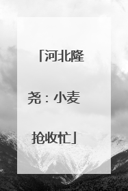 河北隆尧：小麦抢收忙