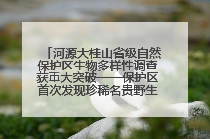 河源大桂山省级自然保护区生物多样性调查获重大突破——保护区首次发现珍稀名贵野生干巴菌与钝尾两头蛇