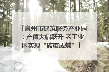 泉州市建筑服务产业园：产值大幅跃升 老工业区实现“破茧成蝶”